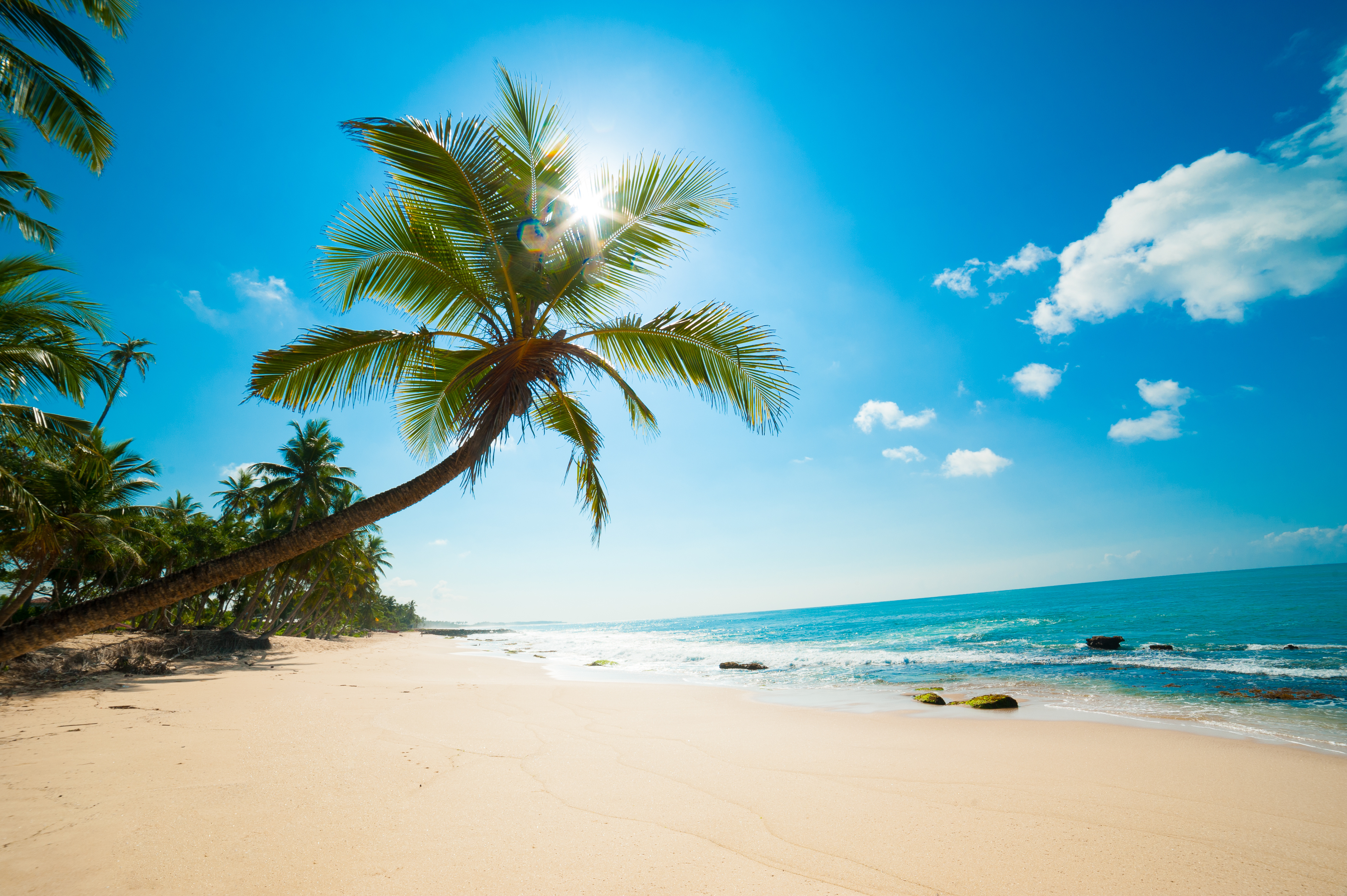 adobestock_43903732